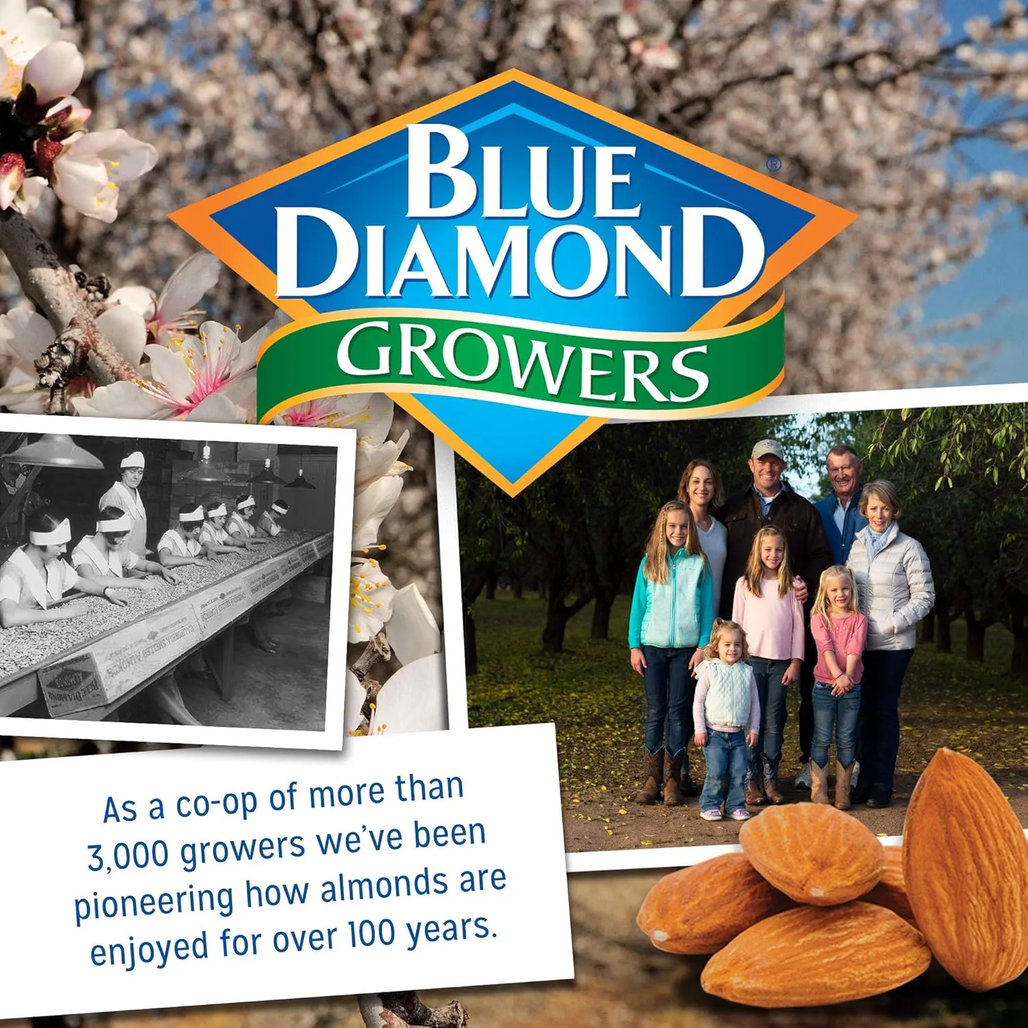 Blue Diamond Almonds, Roasted Salted Flavored Snack Nuts, Single Serve Bags (1.5 Oz. Tubes, Pack of 12)