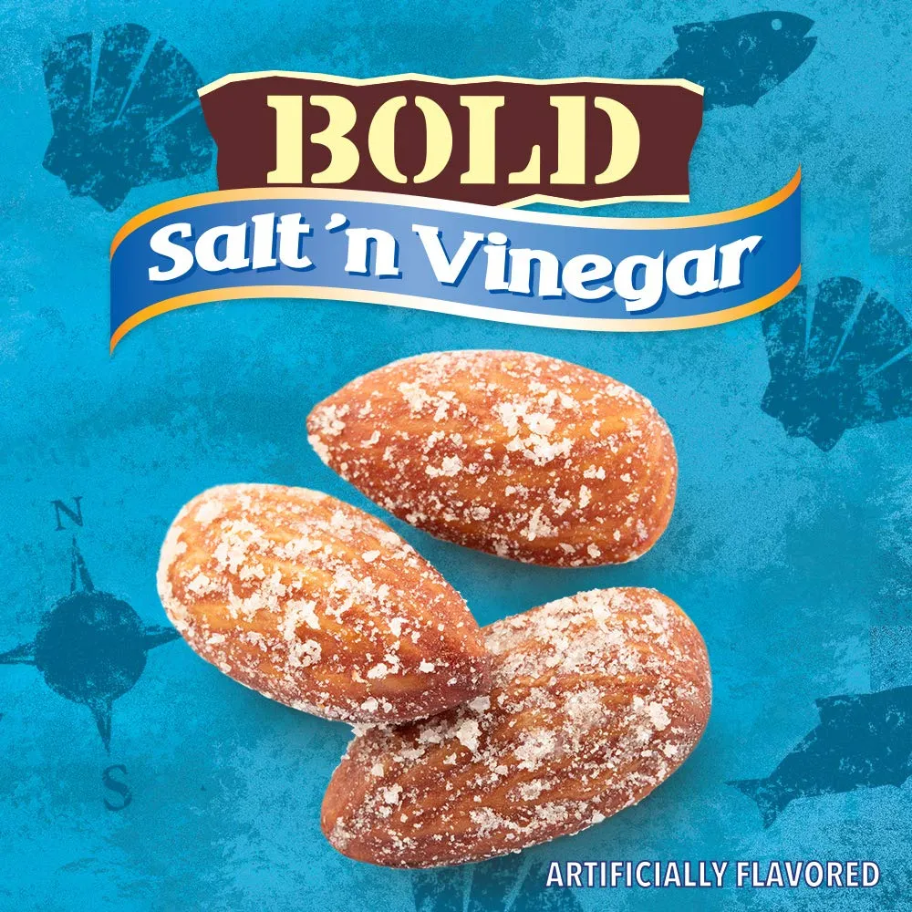 Blue Diamond Almonds Salt N' Vinegar Flavored Snack Nuts, Single Serve Bags (1.5 oz, 2 Packs of 12)