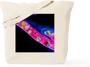 CafePress Mycobacterium Tuberculosis Bacteria Tote Bag Reusable Natural Beige Canvas Shopping Bag