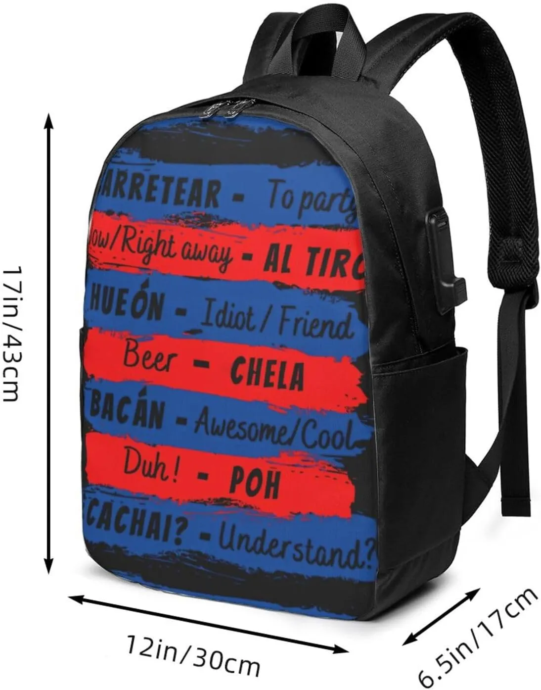 Chile Flag Chilean Slang Laptop Backpacks Travel Backpack Casual Business Daypack Sport Rucksack Computer Bag Fits up to 17 Inch Notebook with USB Port