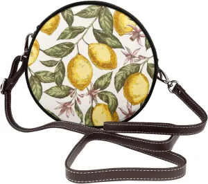 Crossbody Shoulder Bags for Women Small Round Satchel Handbags Purse