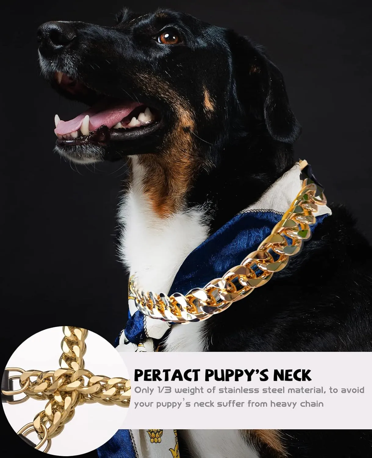 Gold Chain Dog Collar - 7/8 inch Wide Metal Cuban Link Dog Necklace with Leather Belt, Lightweight Protect Puppy's Neck, Cute Fashion Dog Jewelry Accessories 22 inches