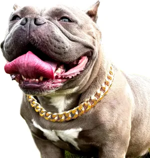 Gold Chain Dog Collar - 7/8 inch Wide Metal Cuban Link Dog Necklace with Leather Belt, Lightweight Protect Puppy's Neck, Cute Fashion Dog Jewelry Accessories 22 inches