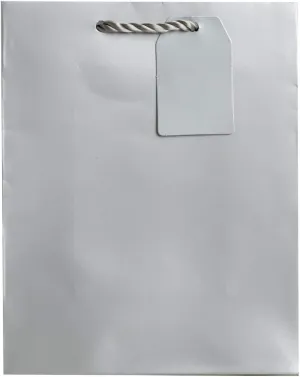 Jillson Roberts 6-Count Medium 8" x 10" x 4" All-Occasion Gift Bags Available in 20 Solid Colors, Silver Matte