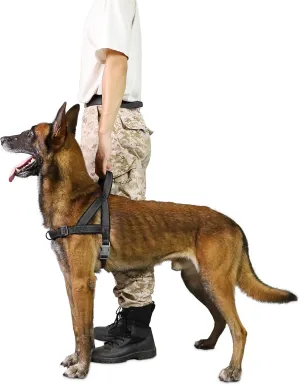 No Pull Dog Harness, Reflective Puppy Harness with Soft Padded Handle, Escape Proof/Quick Fit Adjustable Pet Harness for Small Medium Large Dogs, Easy for Training Walking (Black, L)