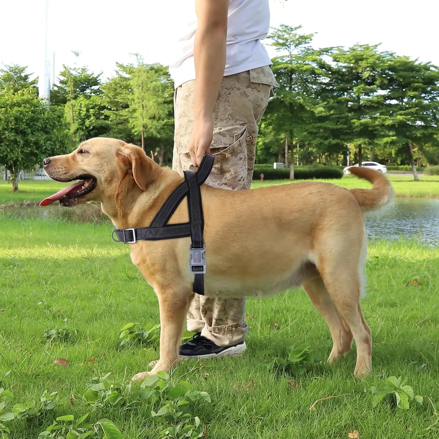 No Pull Dog Harness, Reflective Puppy Harness with Soft Padded Handle, Escape Proof/Quick Fit Adjustable Pet Harness for Small Medium Large Dogs, Easy for Training Walking (Black, L)