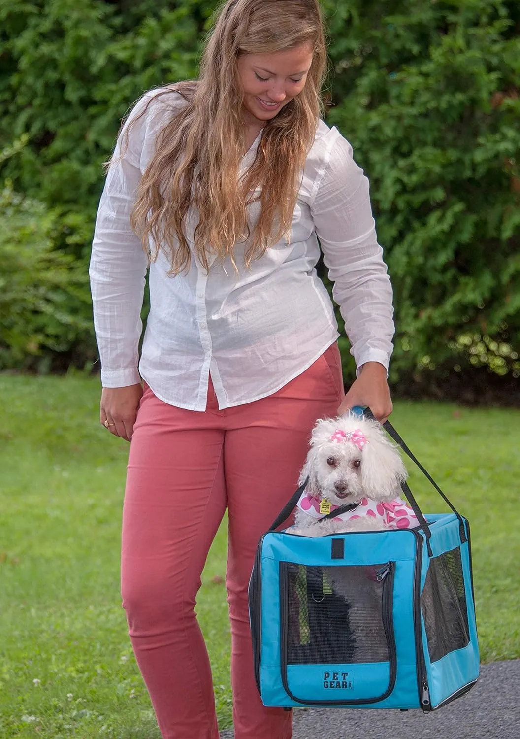 Pet Gear Signature Pet Safety Carrier and Car Seat for Small Dogs & Cats, Arctic Blue