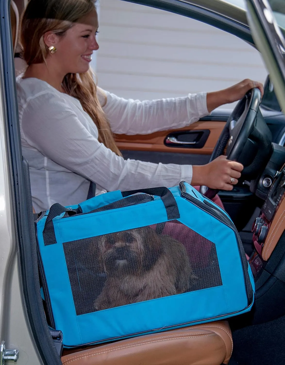 Pet Gear Signature Pet Safety Carrier and Car Seat for Small Dogs & Cats, Arctic Blue