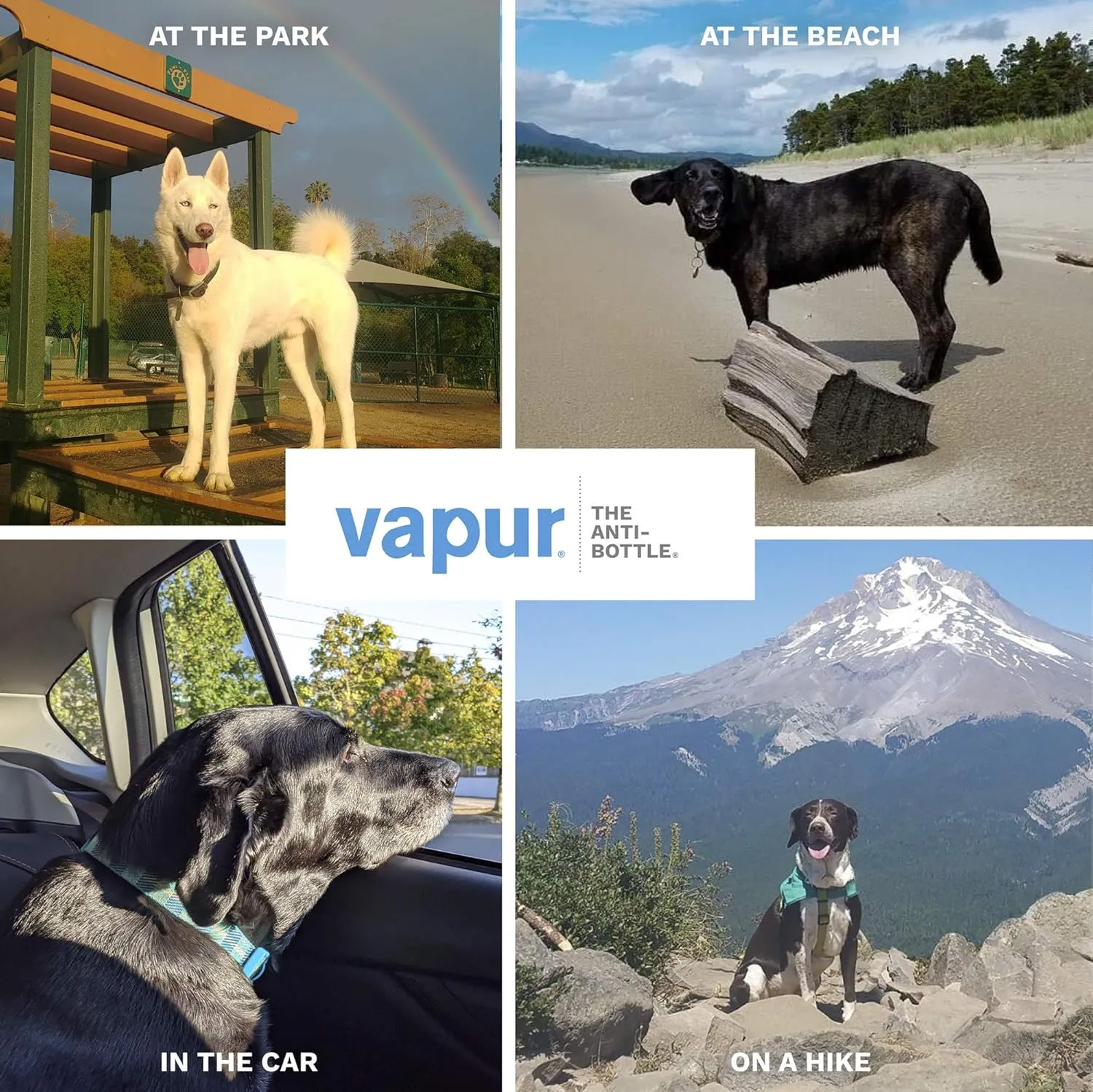 Vapur Collapsible Dog Water Bottle With Patented Lick Activated Design, Portable Hydration Water Dispenser for Walks, Hikes, and Travel, 23 Ounce, Whiteout, Pack of 1