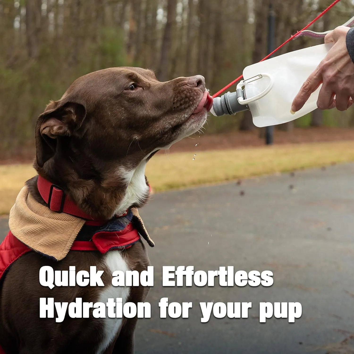 Vapur Collapsible Dog Water Bottle With Patented Lick Activated Design, Portable Hydration Water Dispenser for Walks, Hikes, and Travel, 23 Ounce, Whiteout, Pack of 1